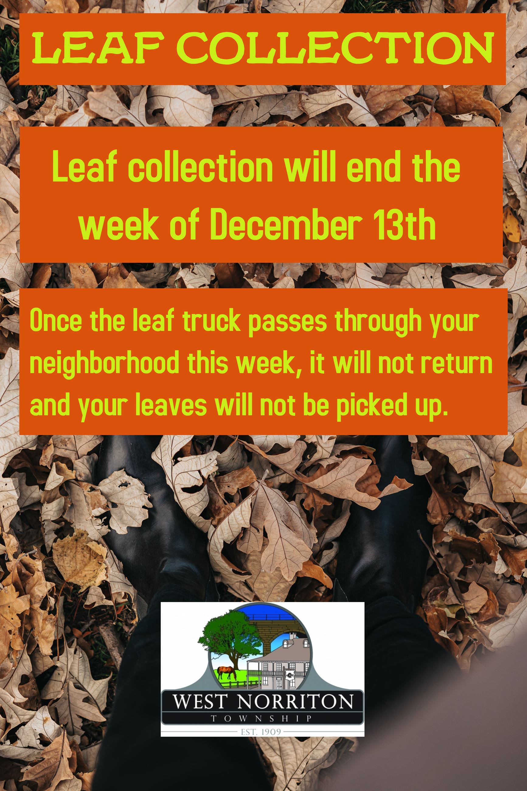 Leaf Collection 2021