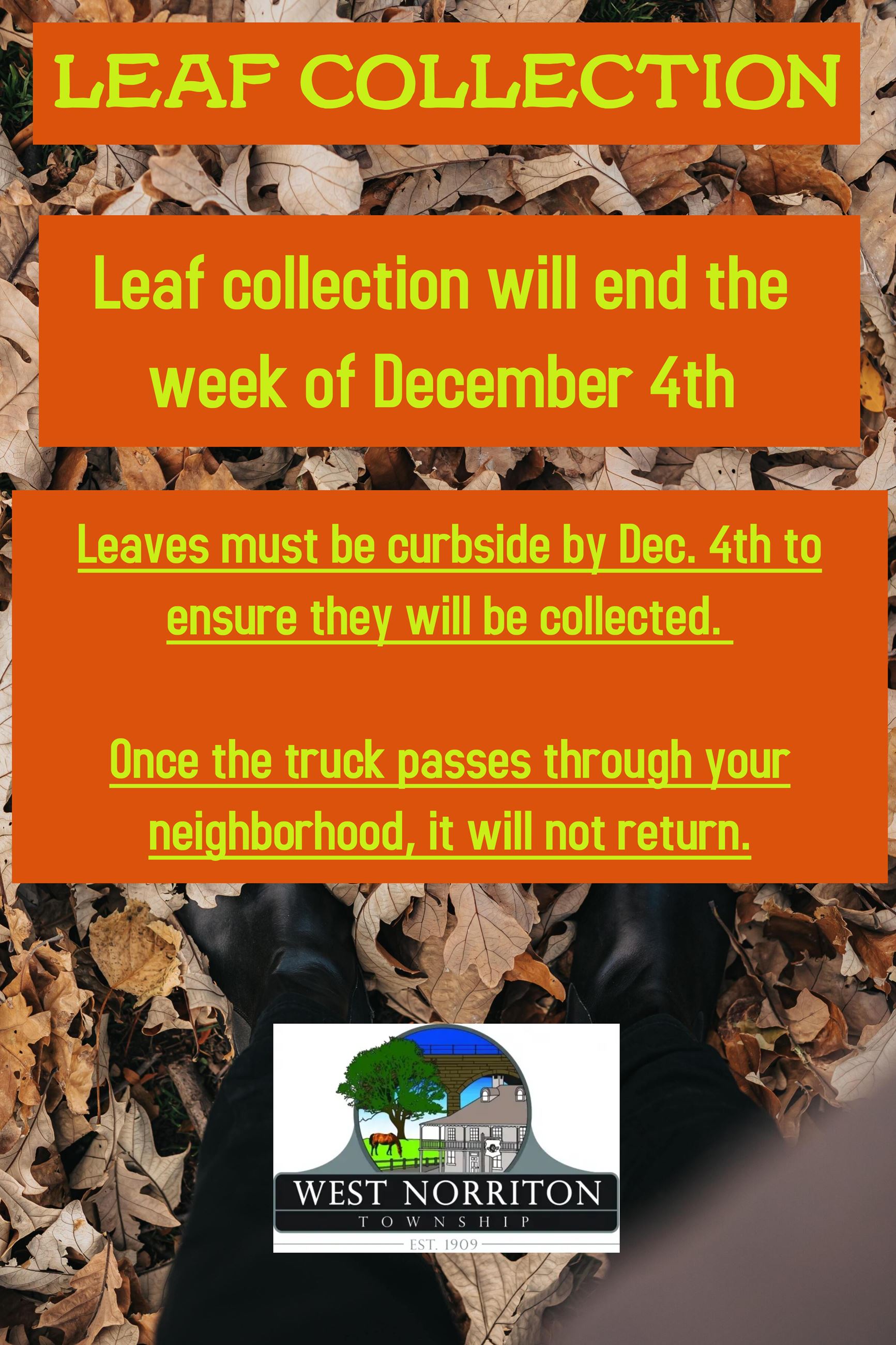 Leaf Collection 2023